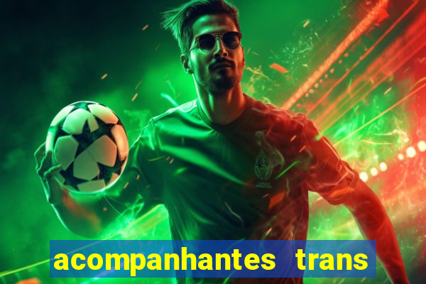 acompanhantes trans baixada fluminense